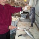 동산낚시터 이미지