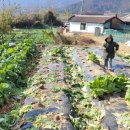 정관지구대 이미지