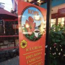 와이엠농장 | [코나 와이엠 미션빌더 8일] 좋아하는 카페가기♥