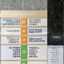 숲에서 | 봉담2지구 네일샵 네일숲에서 봄네일 페디 내돈내산 후기