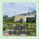 구례카페 반야원 플라타너스