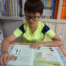 한반도 태권도장 | 5학년대비 초등한국사책 현직교사가 추천하는 &#39;히스토리카만화백과(1)&#39;