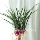 신용보증기금안양지점 이미지