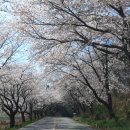 주산주유소 이미지