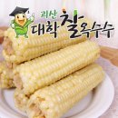 괴산 대학찰옥수수는 왜 &#39;대학&#39;이 붙었을까? (feat. 초당옥수수) 이미지