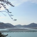 청산도전복나라