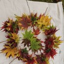11,13(목)햇한숲-오전10시 한숲<b>산내음</b> 근린공원 (17명