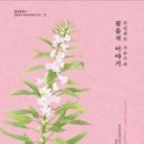 케익꽃이야기