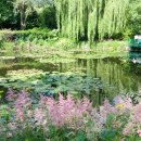 모네의 정원 이미지