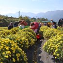 경남산청지역자활센터 이미지