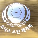 오닉스스킨테라피 이미지