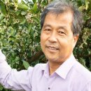 제주감귤농업