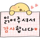 엘시네 이미지
