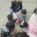 숲속자연어린이집 이미지