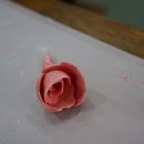 동그리솝 이미지