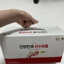 당몰샘 | [전남 구례 / 건강식품] 현덕씨네 건강한가 산수유즙 — 자연이 만든 붉은 보석