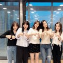레드벨벳 Daum카페