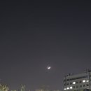 꽈백 최선생(정릉점)