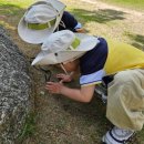 다산초교 이미지