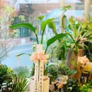 정명섭소아청소년과의원 이미지