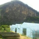 학이네농장 이미지