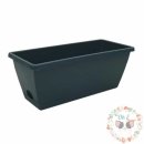 옥이텃밭 이미지