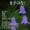 화하 Daum카페