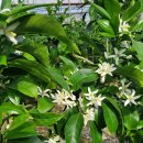 윤서농장 이미지