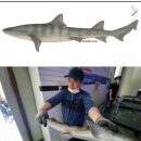 남양주탑실내바다낚시터 이미지