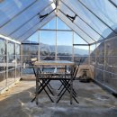 스테이 루비 이미지