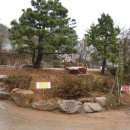 녹원유치원 이미지