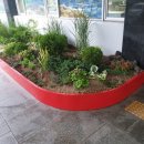 서구청 본관 이미지