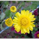 복룡동 시민문화공원 이미지