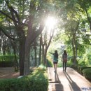 아주대학교 보건대학원 이미지