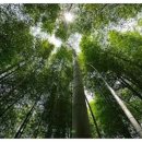 해영민박 이미지