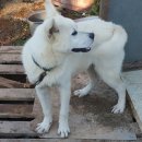 미소짓개 이미지