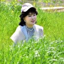 삼화목장 이미지