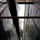 안녕남로 이미지