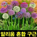 티티산업