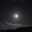 향림동산(흑염소농장) 이미지