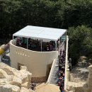 플렉스룸 | [예산/덕산] 1박2일 새개장한 스플라스리솜 워터파크/키제한/푸드코트정보/숙소예약꿀팁/S25플렉스룸후기
