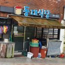 동대참치