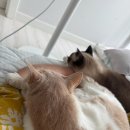 꿈꾸는돼지(남목점) | Eat, drink, eat, drink