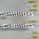 종로회집 | 종각 점심 종각 물회 종로 횟집 어망집 방문후기