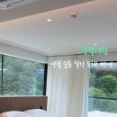 영힐링숲