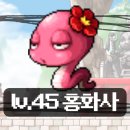 홍화사랑