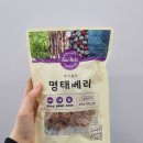야옹아멍멍해봐단관점