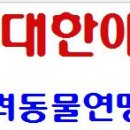대한애견연맹 주관 제 5 회 전국 우수 진돗개 전람회 개최 공지 이미지