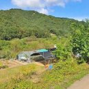 벽진농장 이미지