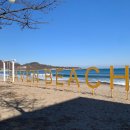 더 헤이븐 | [포항/대진리] 프라이빗 비치와 그네 포토존이 있는 카페 더 헤이븐 내돈내산 후기